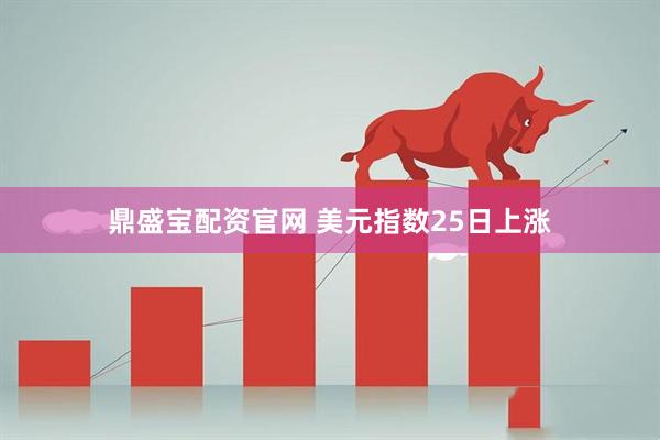 鼎盛宝配资官网 美元指数25日上涨