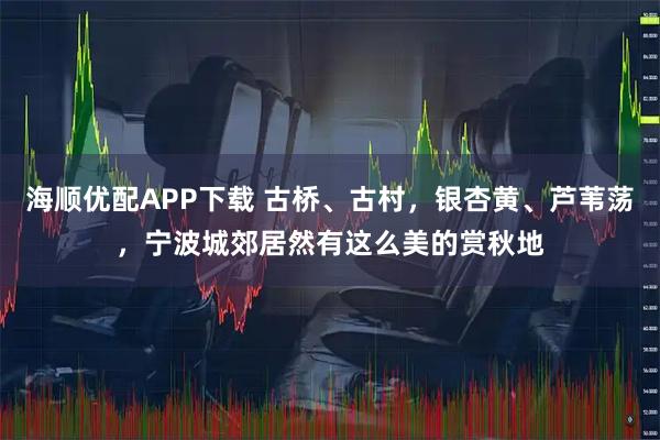 海顺优配APP下载 古桥、古村，银杏黄、芦苇荡，宁波城郊居然有这么美的赏秋地