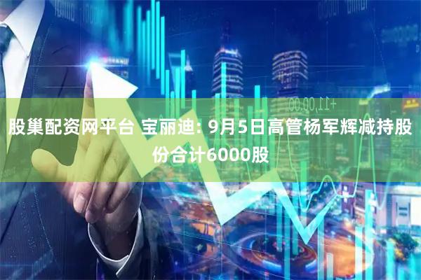 股巢配资网平台 宝丽迪: 9月5日高管杨军辉减持股份合计6000股