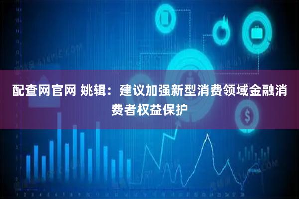 配查网官网 姚辑:建议加强新型消费领域金融消费者权益保护