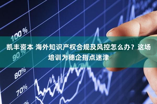 凯丰资本 海外知识产权合规及风控怎么办？这场培训为穗企指点迷津